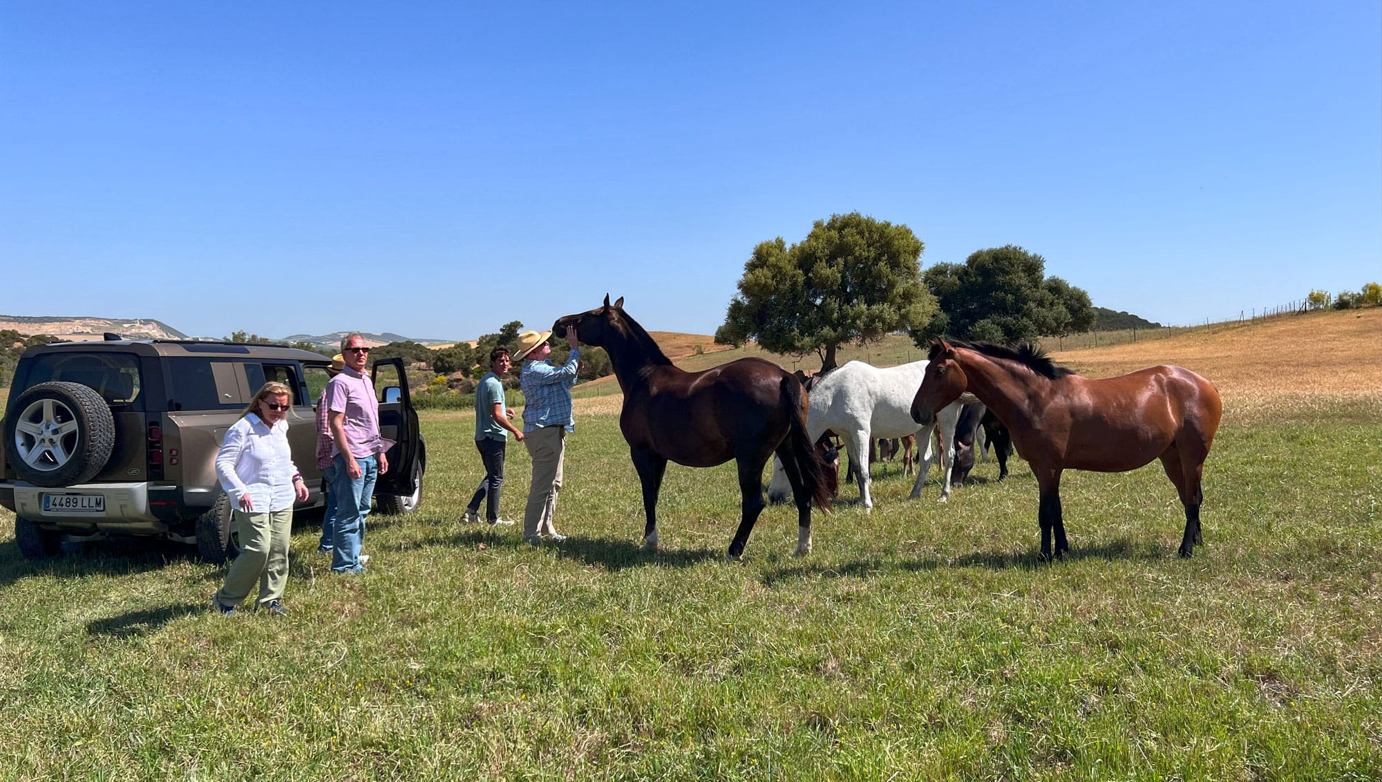 Exclusive visit to Dahesa Fuente Ymbro Horse Breeding Farm Cadiz Spain Cosmopolitours