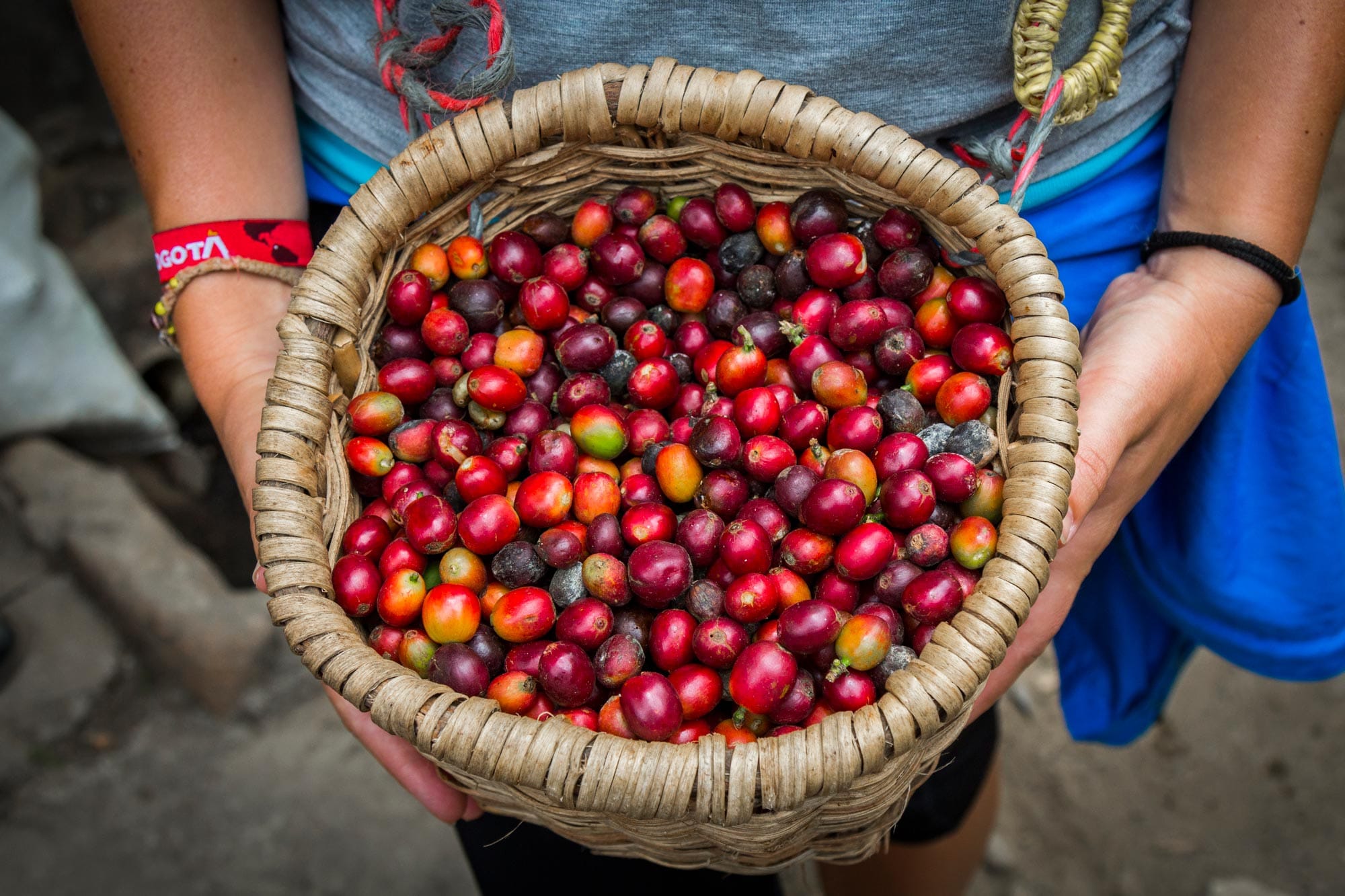 colombia-coffee